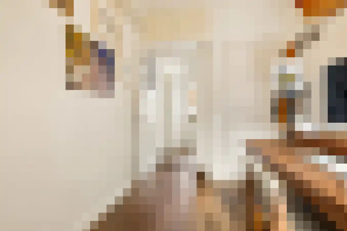 Latherusstraat 25 Amsterdam thumbnail 29