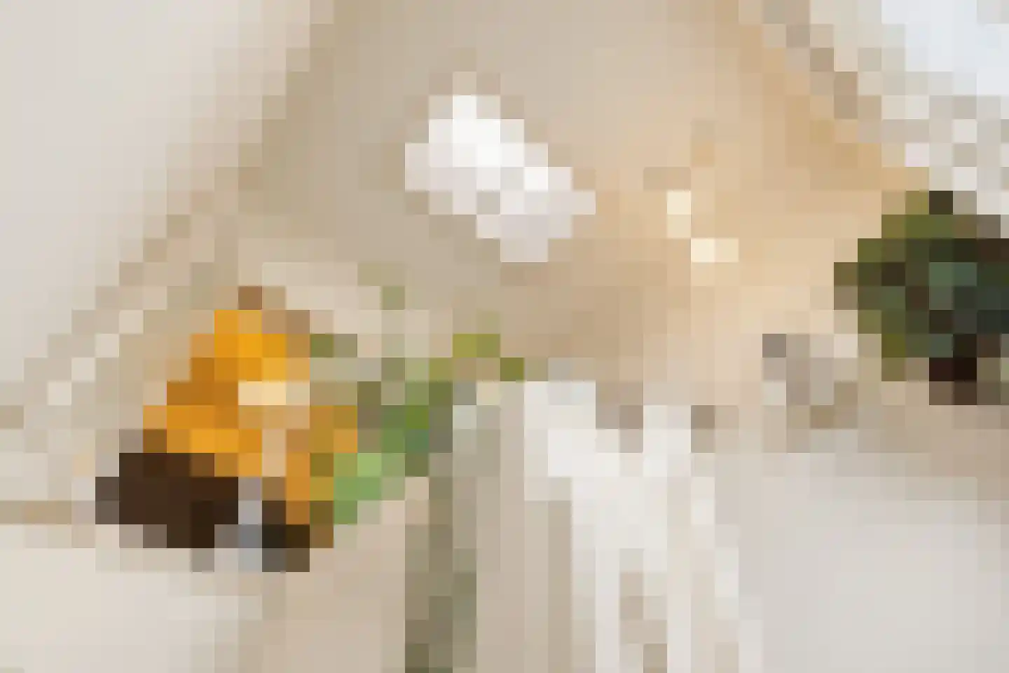 Latherusstraat 25 Amsterdam thumbnail 37