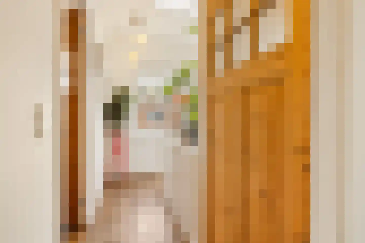 Latherusstraat 25 Amsterdam thumbnail 57