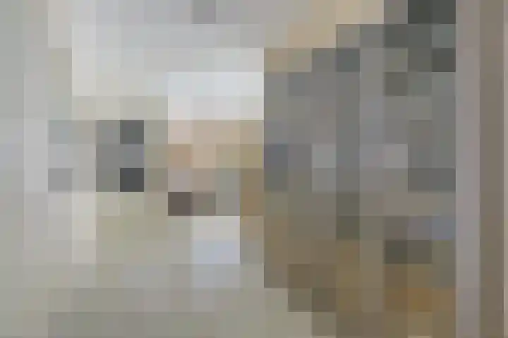 Latherusstraat 9 1 Amsterdam thumbnail 8