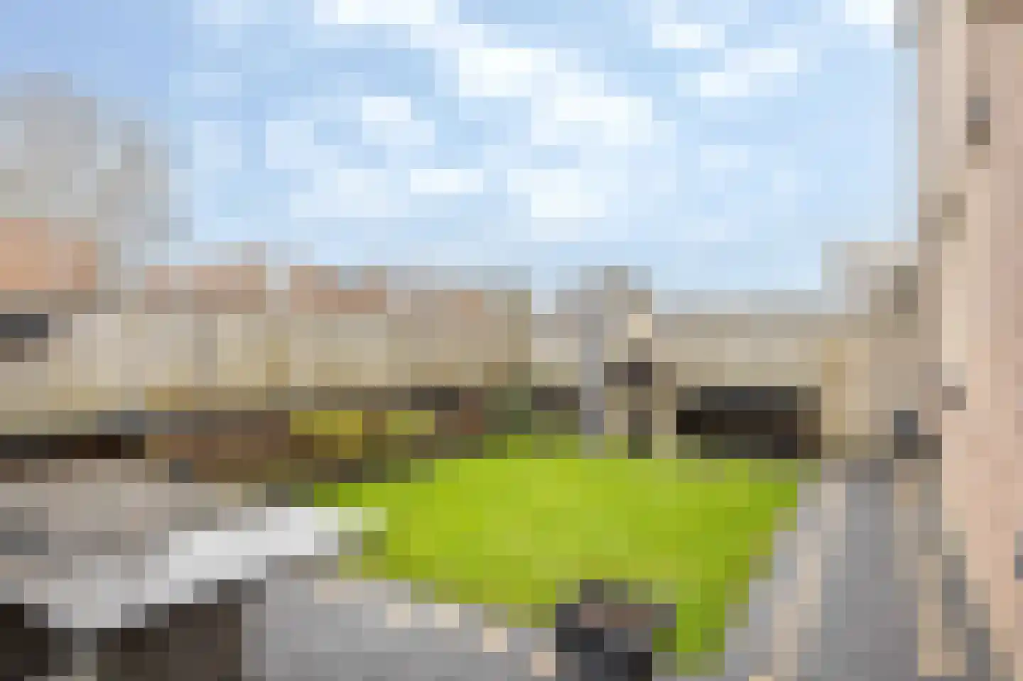 Lathyrus 2 Venray thumbnail 27