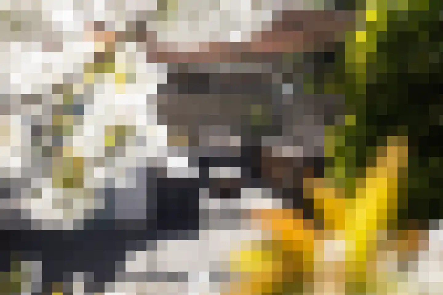 Lathyrusstraat 8 De Bilt thumbnail 18