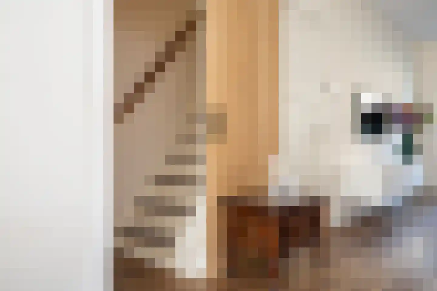 Lathyrusstraat 8 De Bilt thumbnail 6