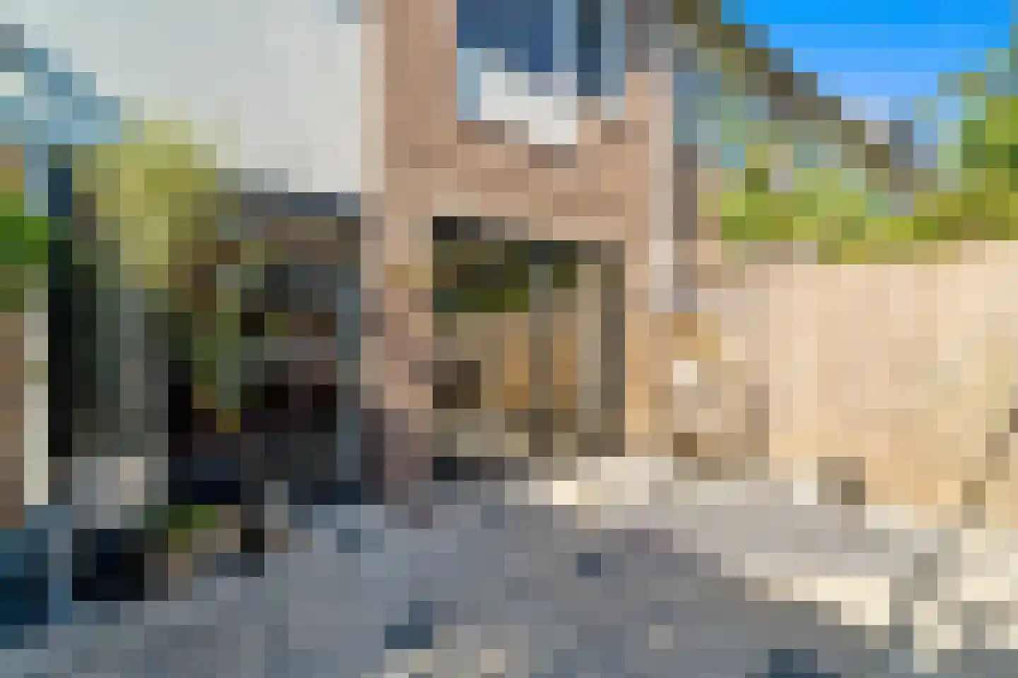 Latijns-Amerikalaan 106 Delft thumbnail 13