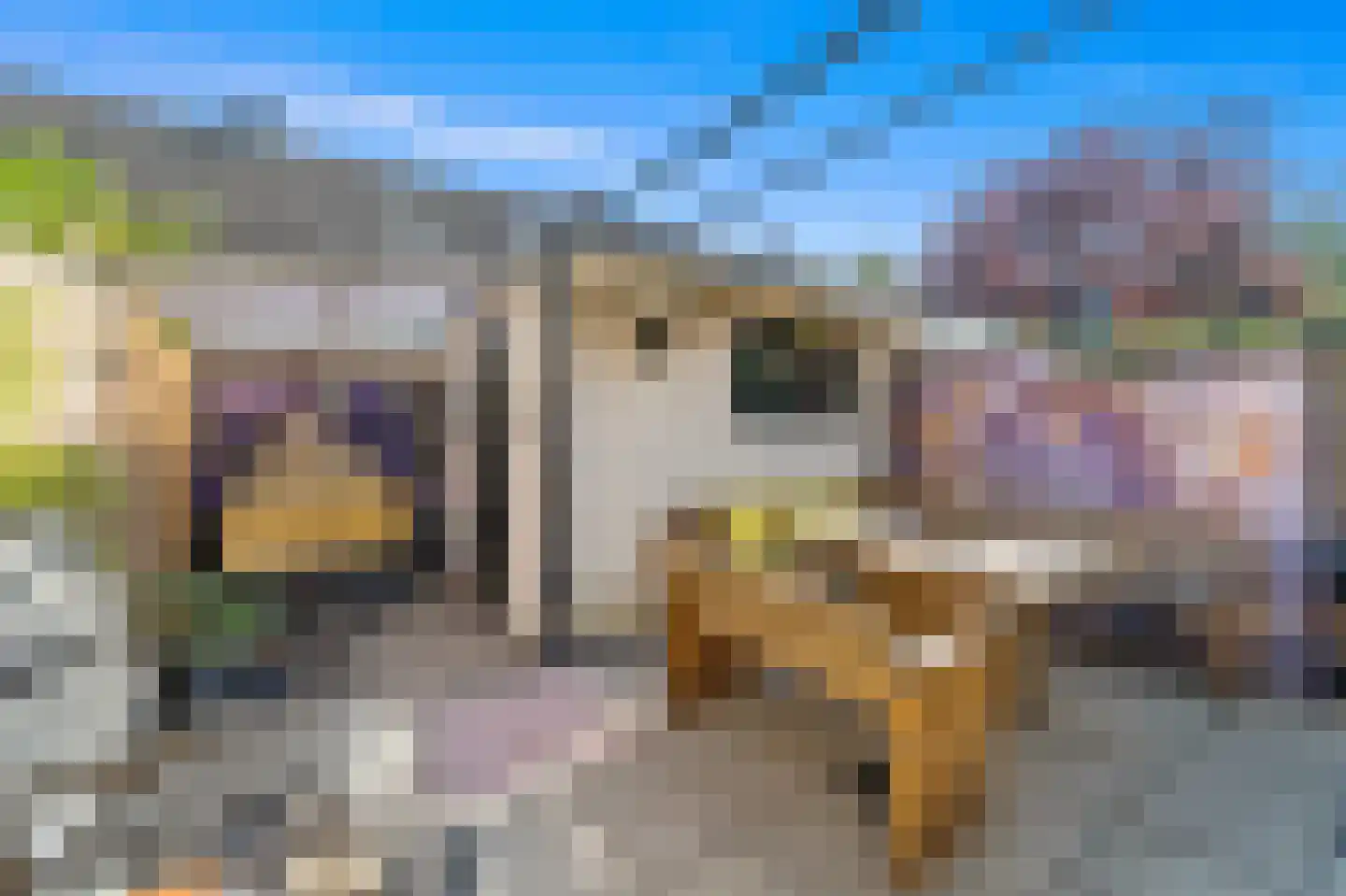 Latijns-Amerikalaan 106 Delft thumbnail 14