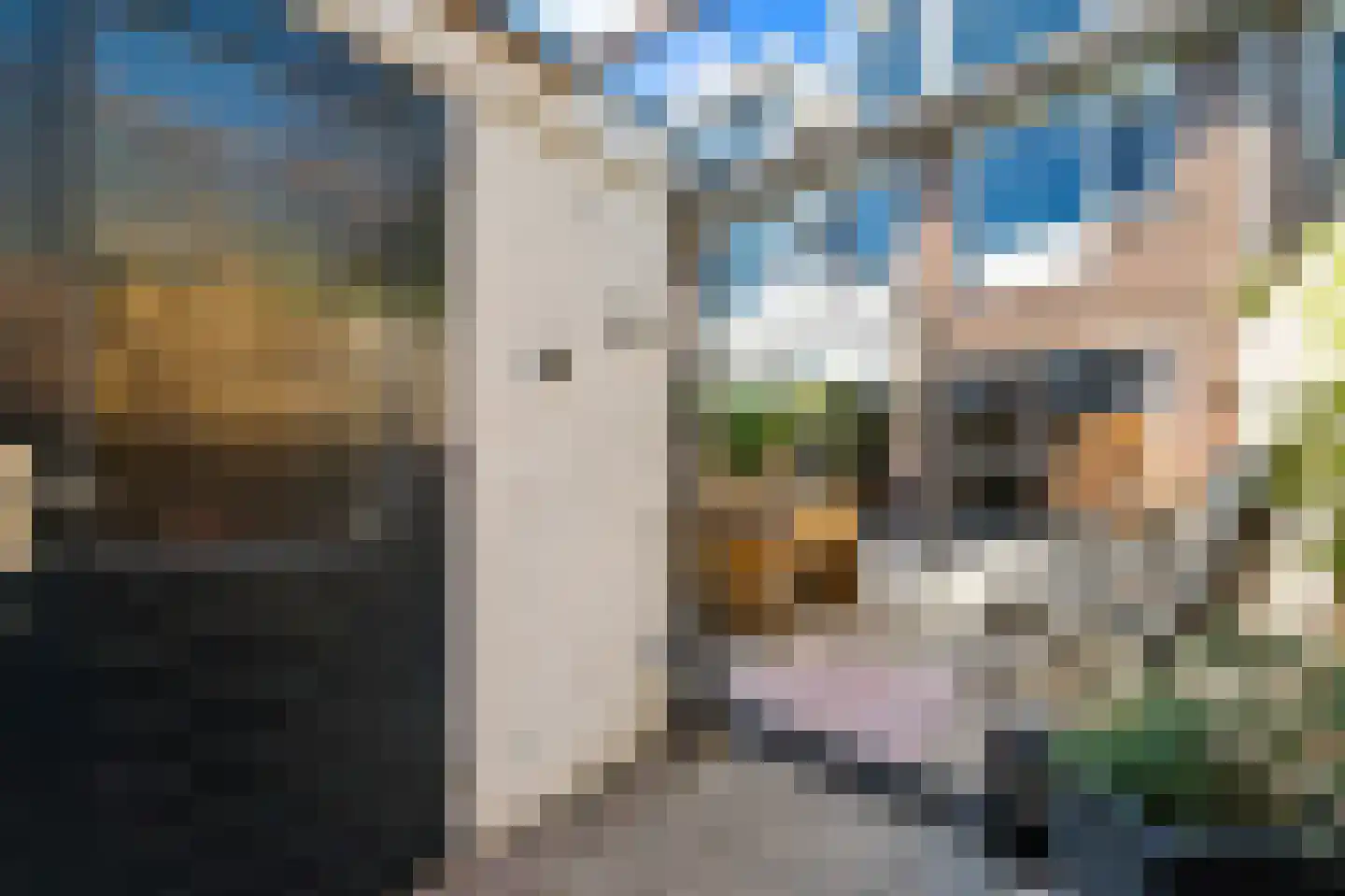 Latijns-Amerikalaan 106 Delft thumbnail 17