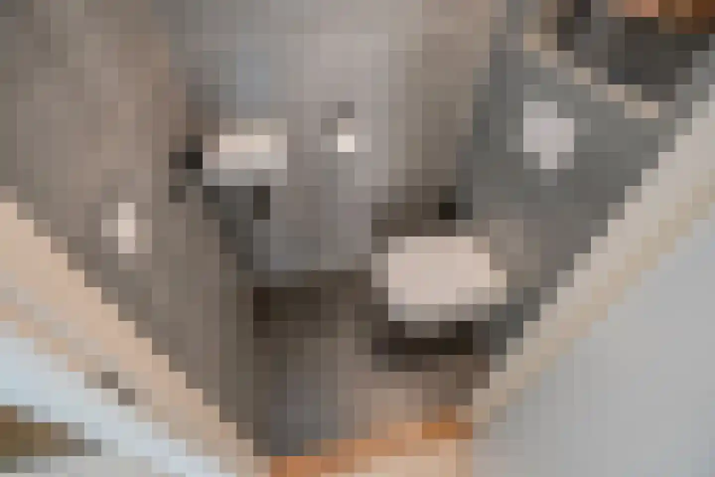 Latijns-Amerikalaan 114 Delft thumbnail 7