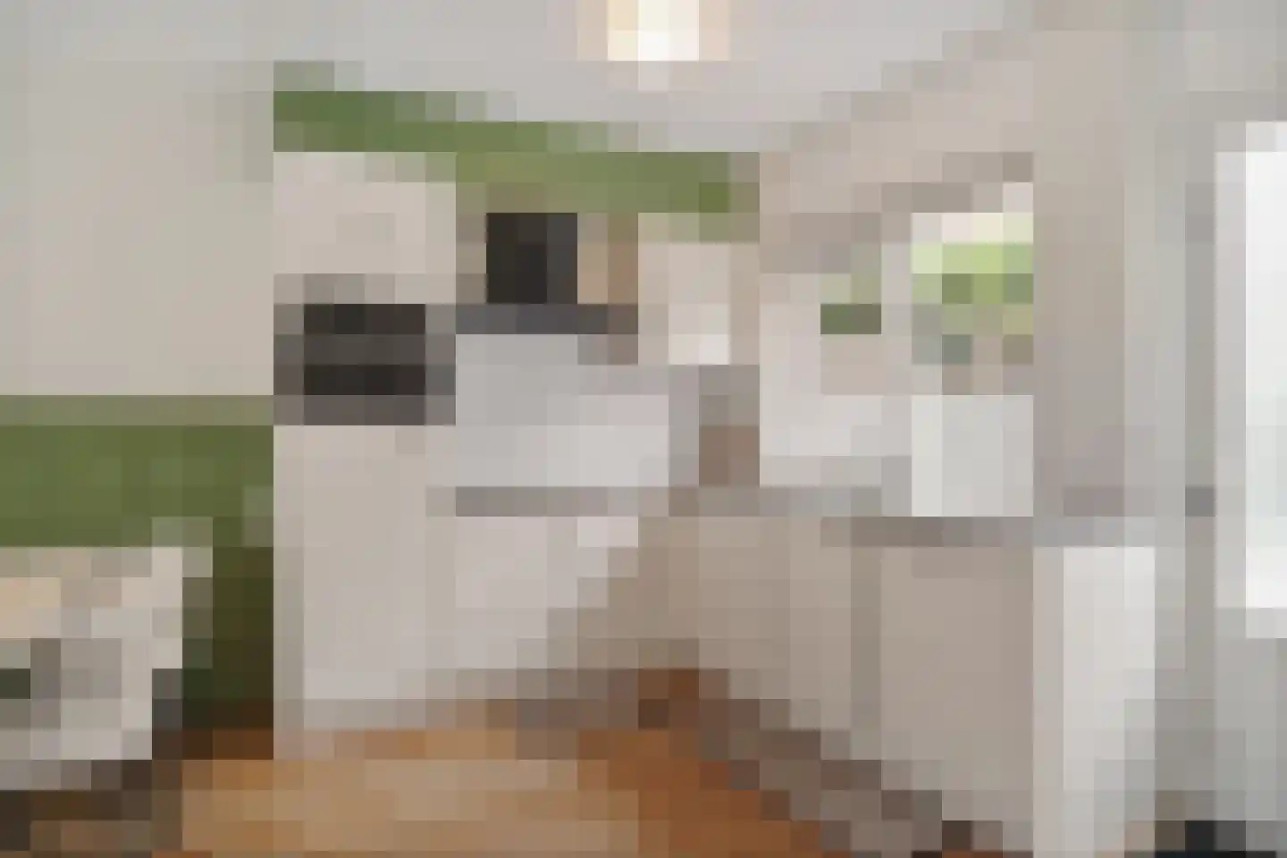 Latijns-Amerikalaan 133 Delft thumbnail 16