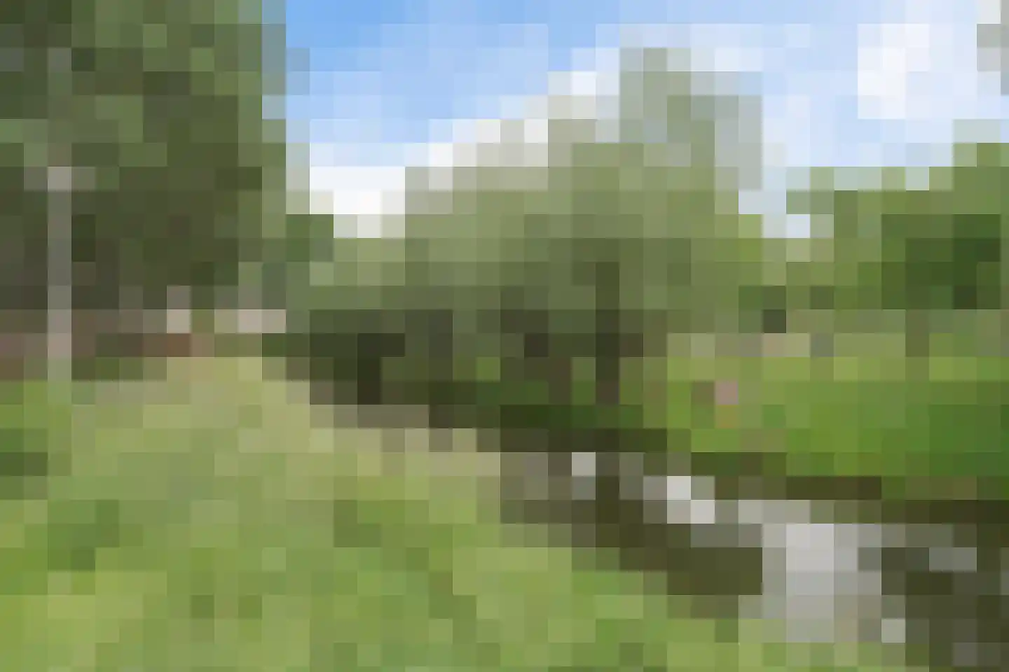 Latijns-Amerikalaan 133 Delft thumbnail 40