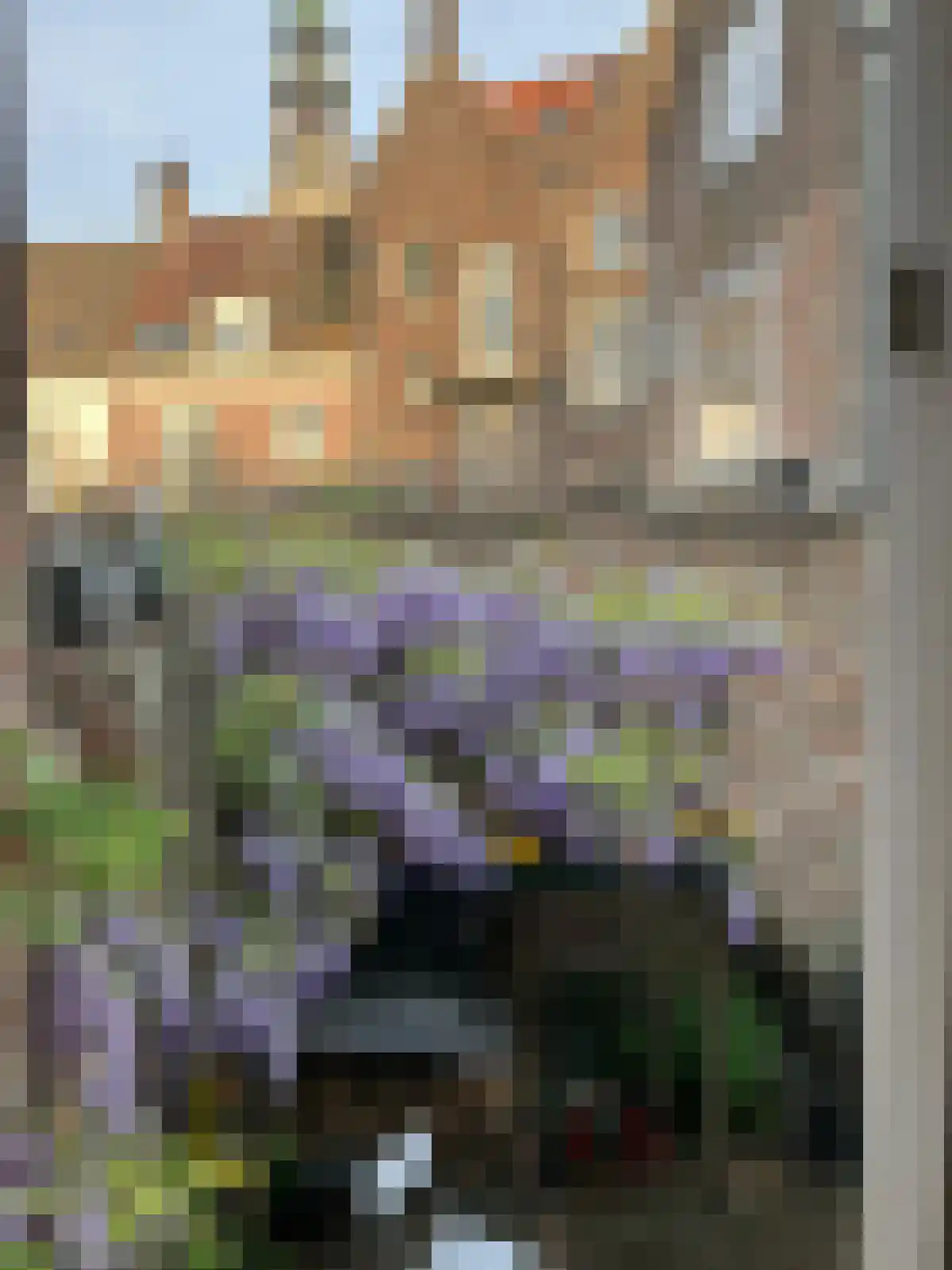 Latijnse Schoolstraat 15 Middelburg thumbnail 15