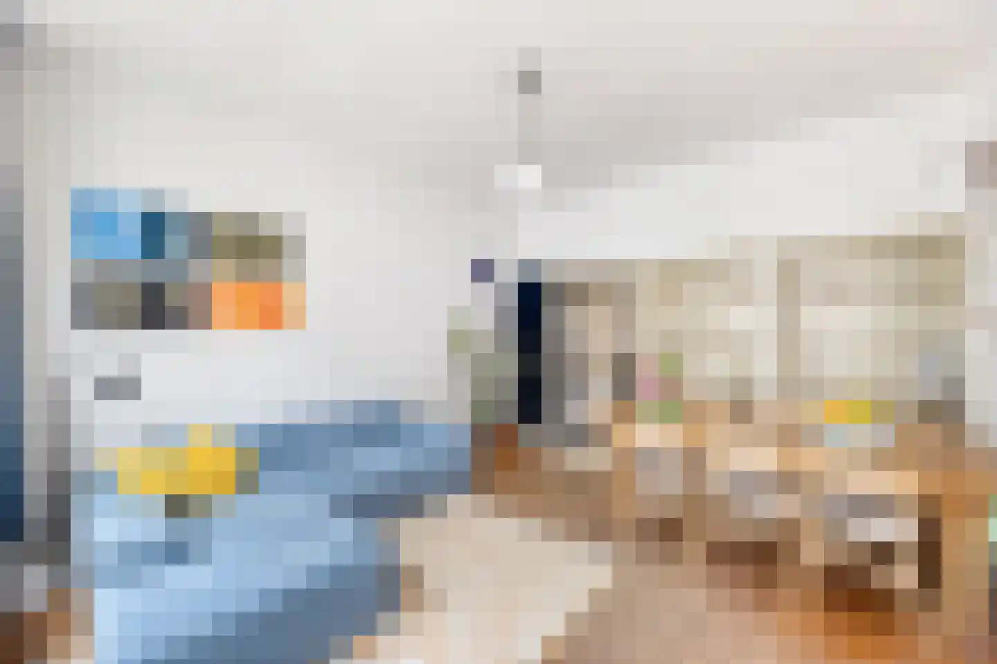 Latijnse Schoolstraat 15 Middelburg thumbnail 7