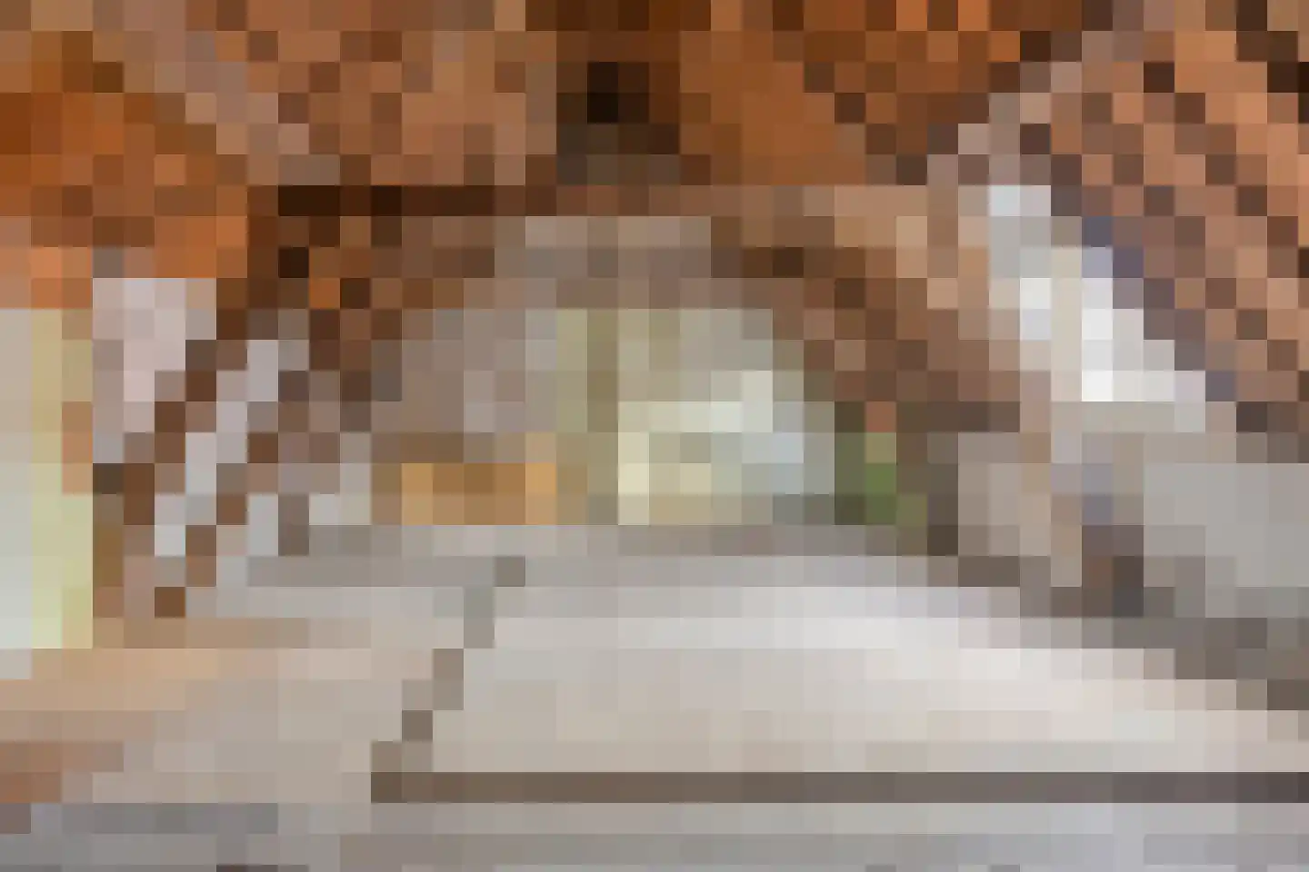 Latijnse Schoolstraat 6 Middelburg thumbnail 30