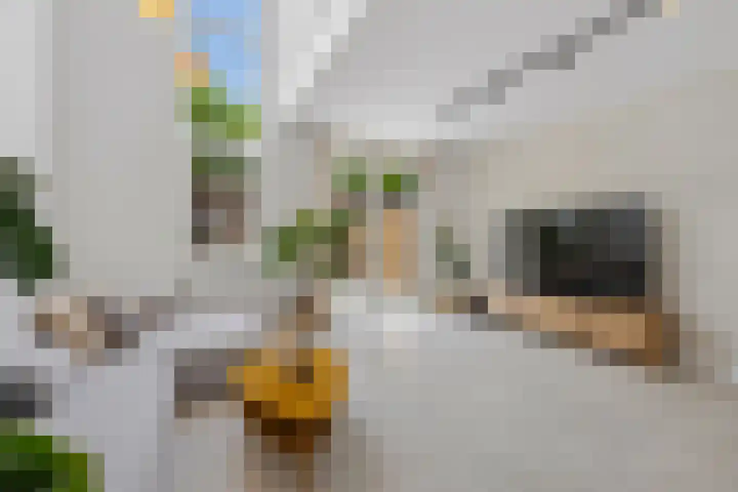 Latijnzeil 58 Almere thumbnail 10