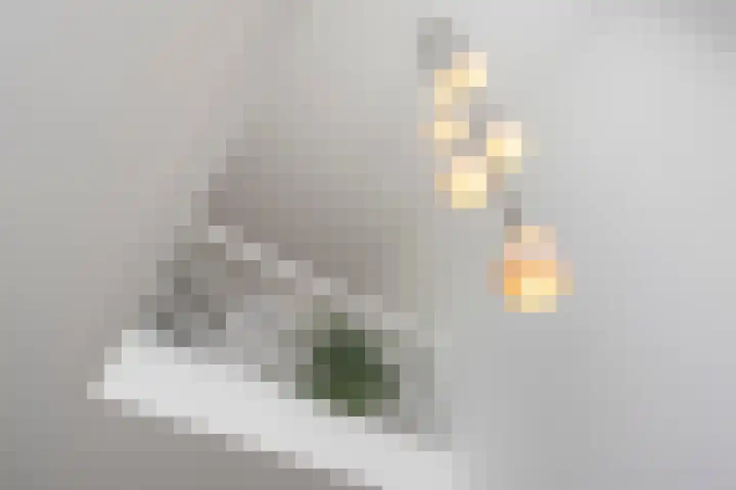 Latijnzeil 58 Almere thumbnail 9