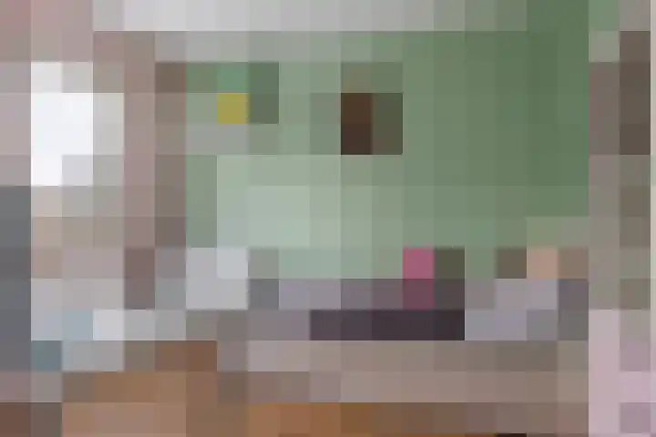 Latonalaan 32 Apeldoorn thumbnail 12