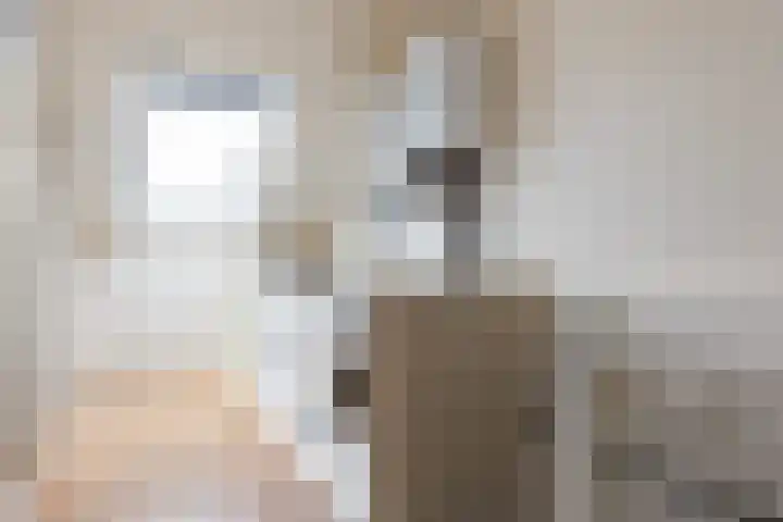 Latonalaan 32 Apeldoorn thumbnail 20