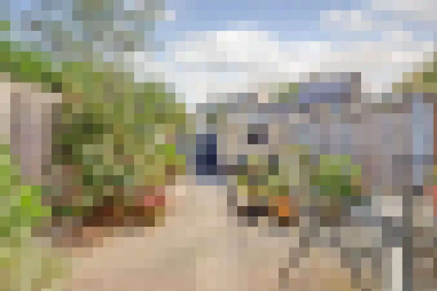 Latonalaan 45 Apeldoorn thumbnail 30