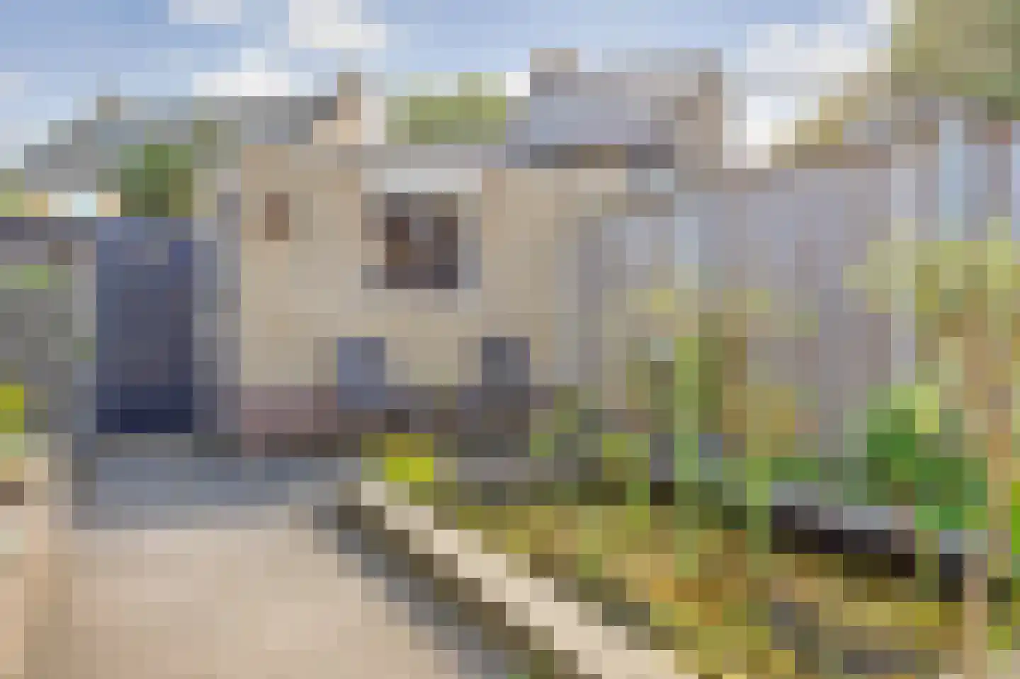Latonalaan 45 Apeldoorn thumbnail 31