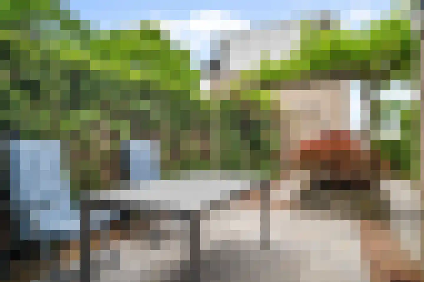 Latonalaan 60 Apeldoorn thumbnail 31