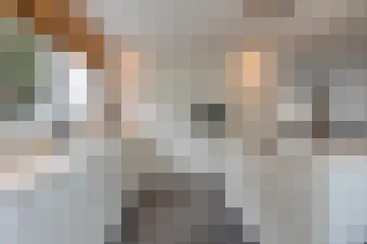 Latourlaan 33 Maastricht thumbnail 15