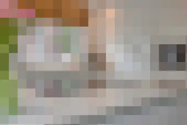 Latourlaan 33 Maastricht thumbnail 18
