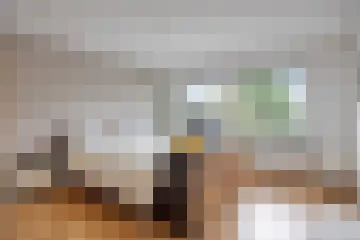 Latourlaan 33 Maastricht thumbnail 36