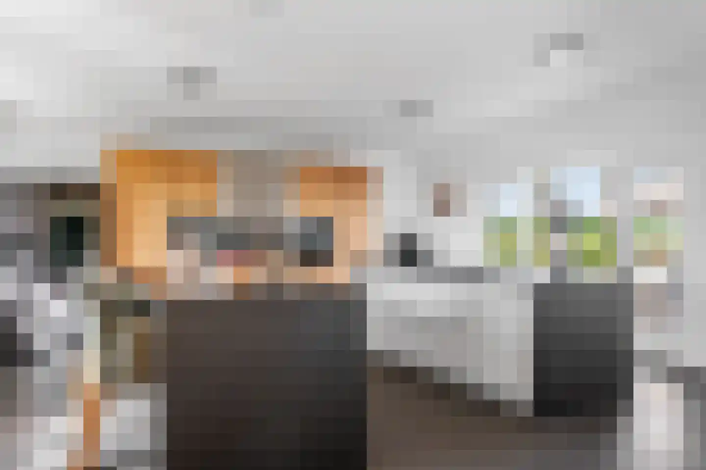 Lattropperstraat 112 Denekamp thumbnail 4