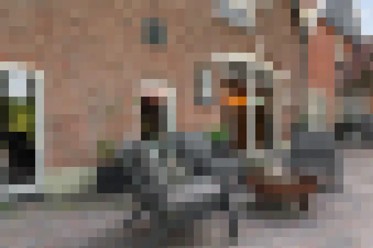 Lattropperstraat 112 Denekamp thumbnail 51