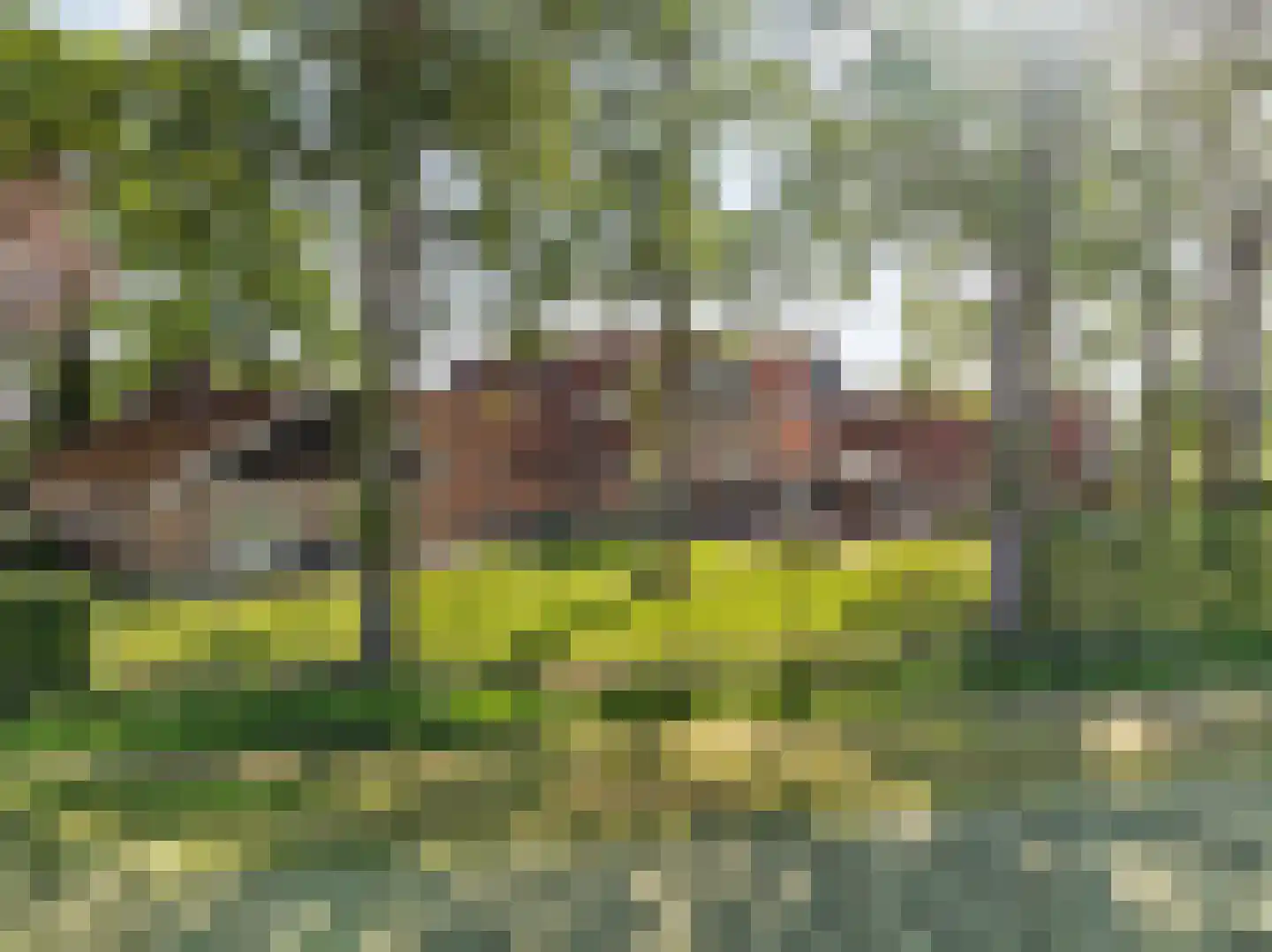 Lattropperstraat 112 Denekamp thumbnail 59
