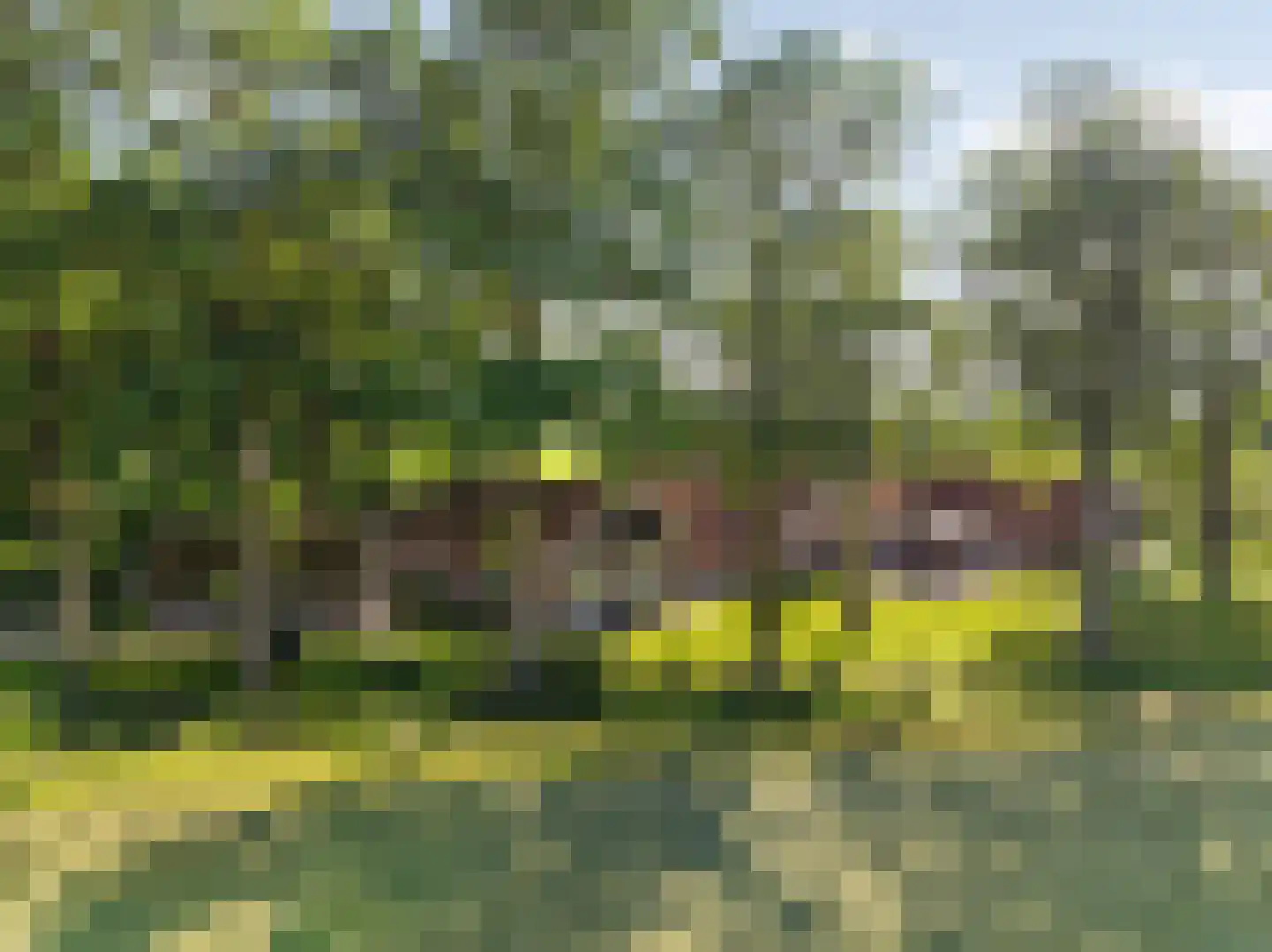 Lattropperstraat 112 Denekamp thumbnail 60