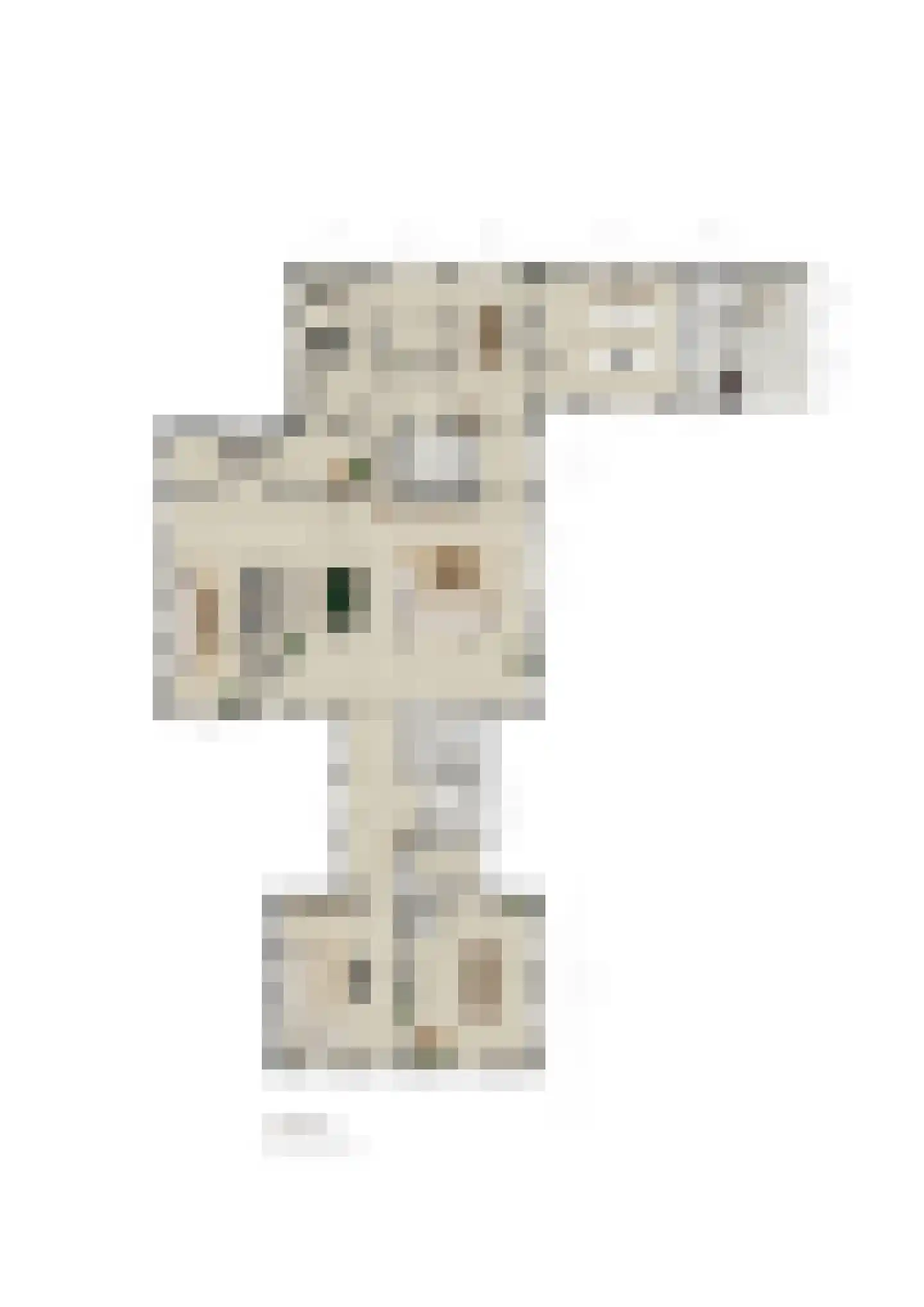 Lattropperstraat 112 Denekamp thumbnail 62
