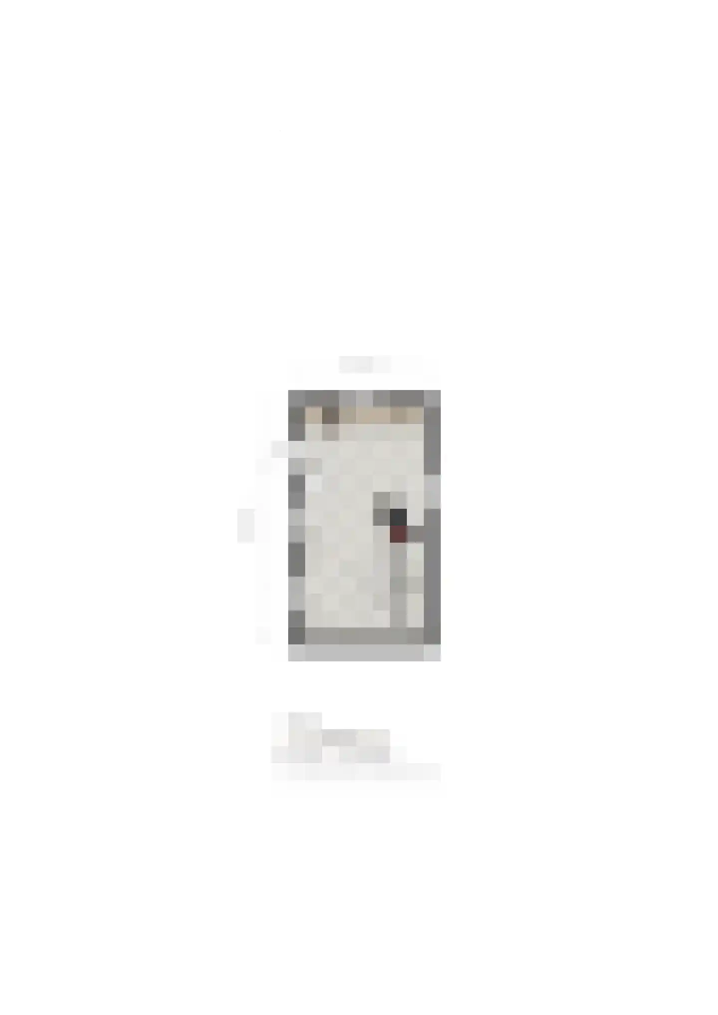 Lattropperstraat 112 Denekamp thumbnail 66