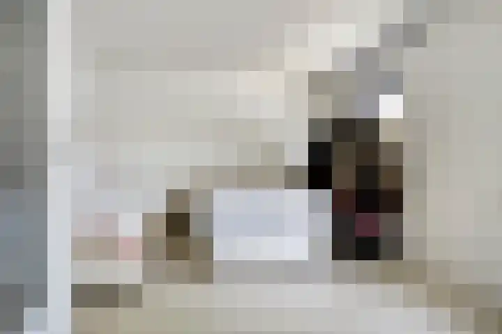 Lau Mazirellaan 131 Den Haag thumbnail 13