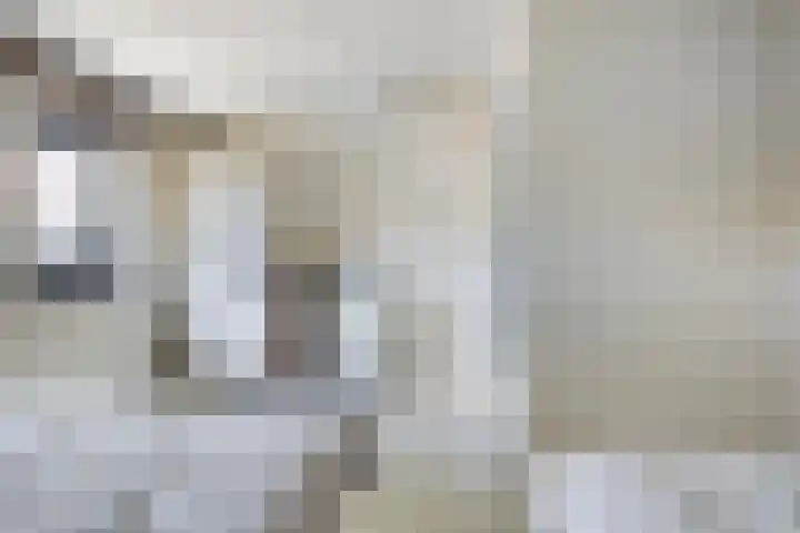 Lau Mazirellaan 131 Den Haag thumbnail 14