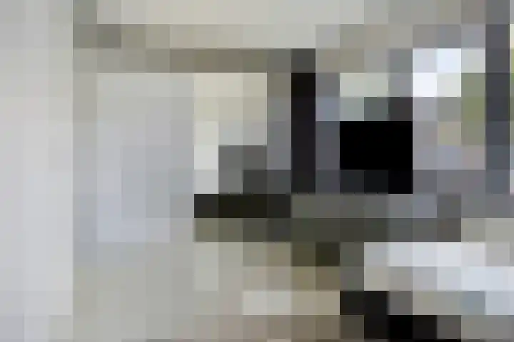 Lau Mazirellaan 131 Den Haag thumbnail 17