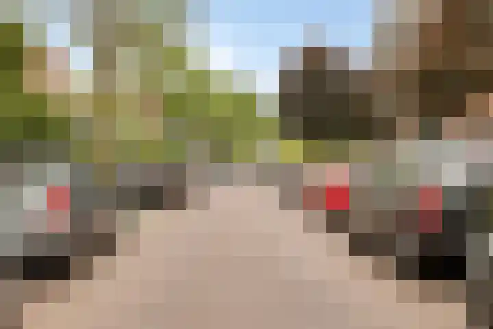 Lau Mazirellaan 131 Den Haag thumbnail 23