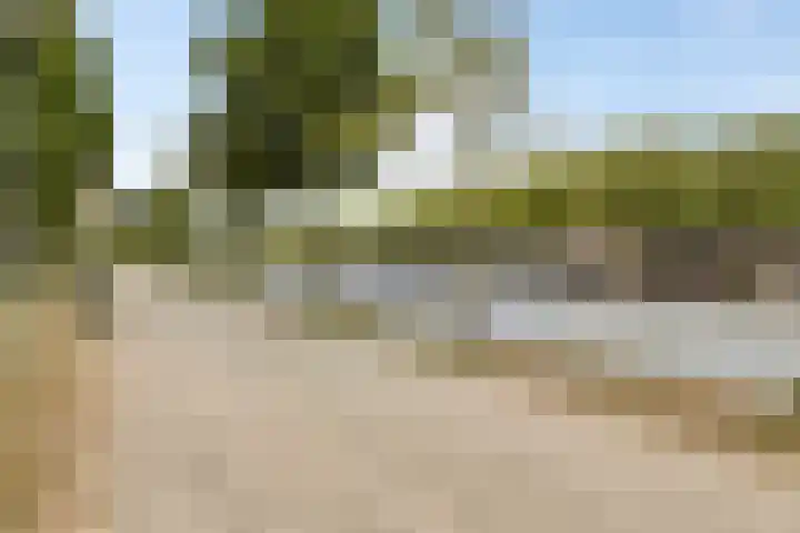 Lau Mazirellaan 131 Den Haag thumbnail 24