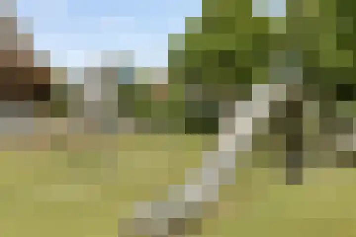Lau Mazirellaan 131 Den Haag thumbnail 25