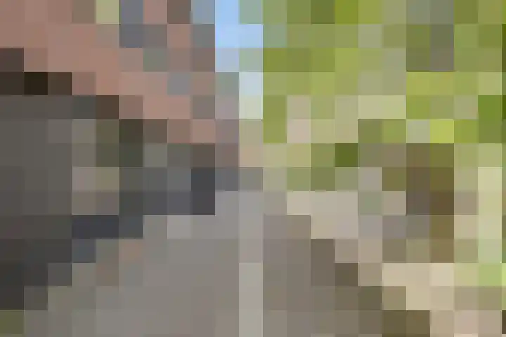 Lau Mazirellaan 131 Den Haag thumbnail 4