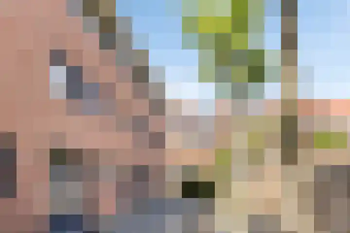 Lau Mazirellaan 131 Den Haag thumbnail 5