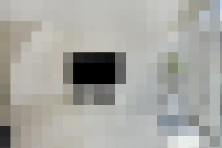 Lau Mazirellaan 131 Den Haag thumbnail 8