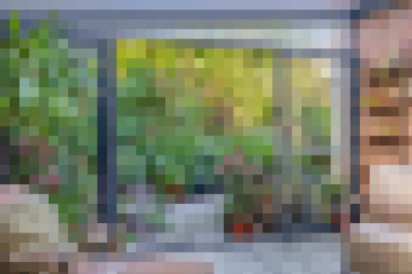Lau Mazirellaan 259 Den Haag thumbnail 19