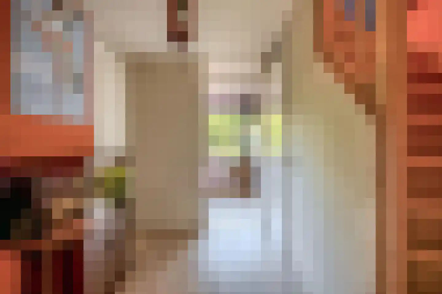 Lau Mazirellaan 259 Den Haag thumbnail 26