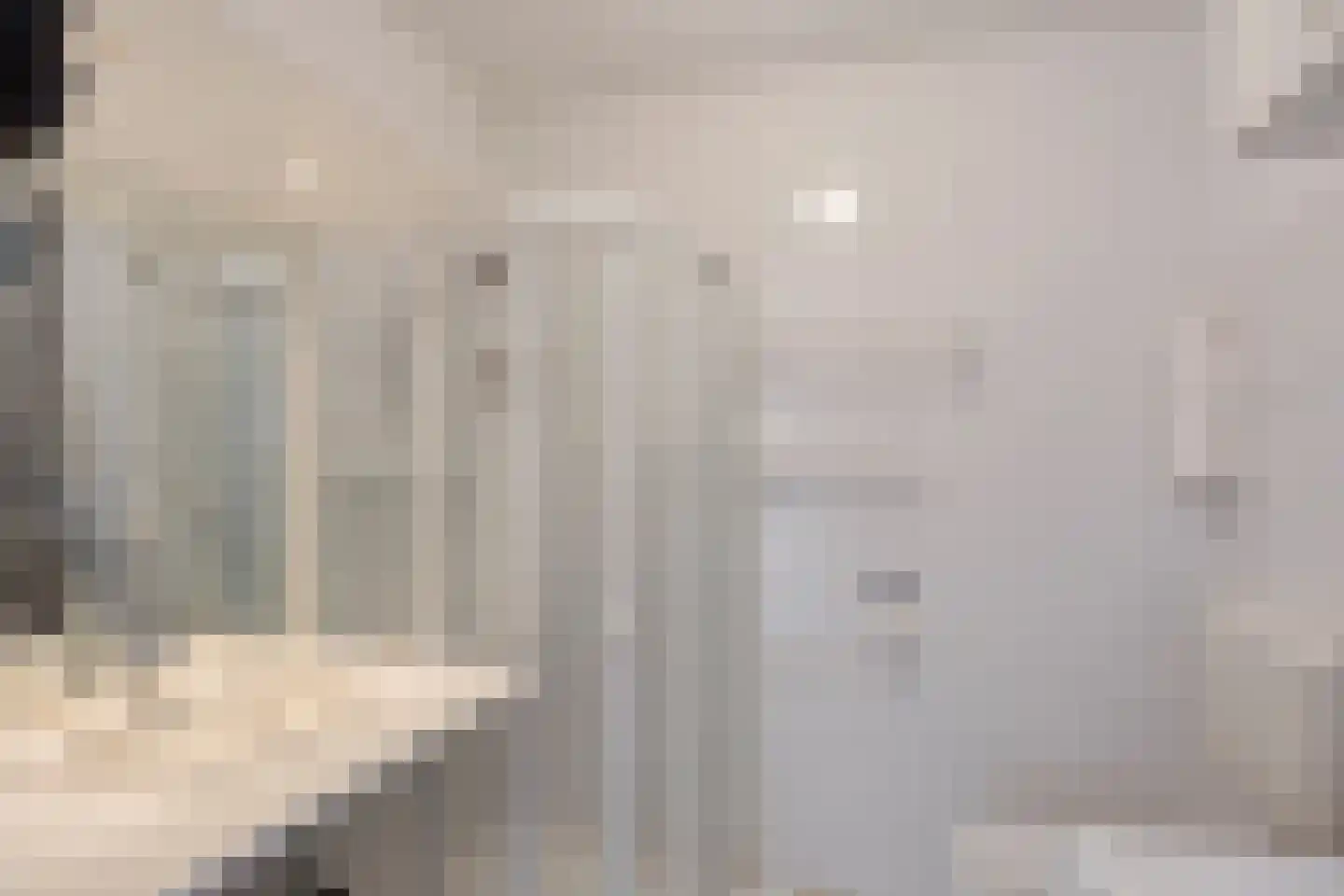 Lau Mazirellaan 283 Den Haag thumbnail 18