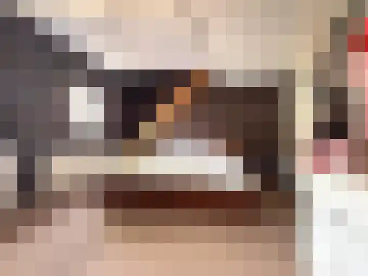 Lau Mazirellaan 49 Den Haag thumbnail 18