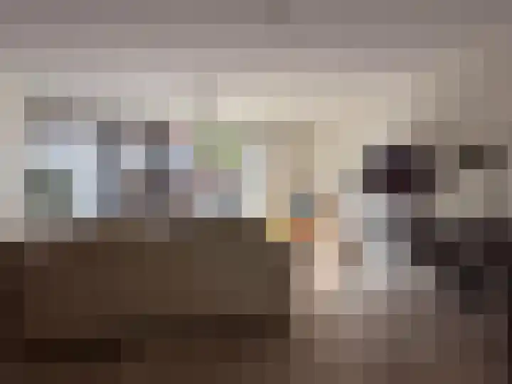 Lau Mazirellaan 49 Den Haag thumbnail 4