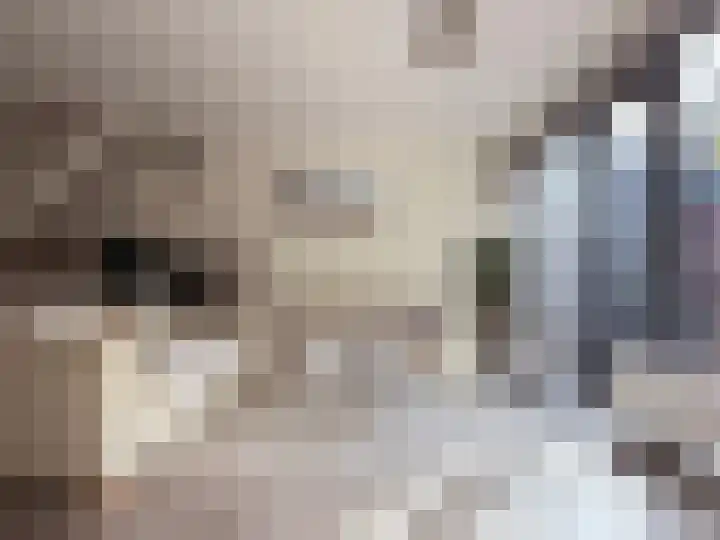 Lau Mazirellaan 49 Den Haag thumbnail 5