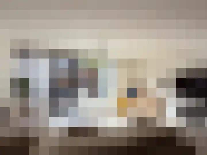 Lau Mazirellaan 49 Den Haag thumbnail 6