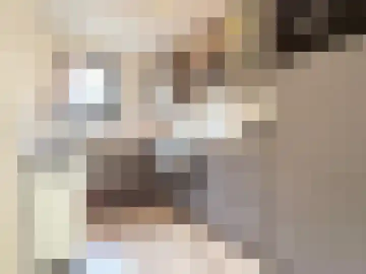 Lau Mazirellaan 49 Den Haag thumbnail 7