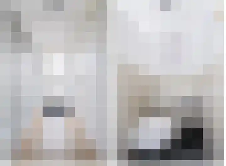 Lau Mazirelstraat 8 Spijkenisse thumbnail 10